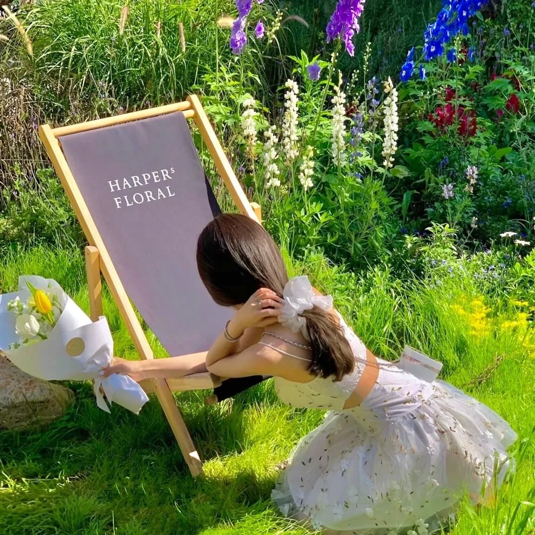 我在天庭收废品