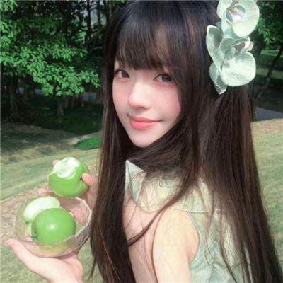 大明天子